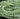 Prehnite Gemstone Beads