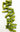 Coral Bamboo Sticks Top Drilled green