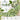 Prehnite Gemstone Beads