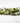Prehnite Round Semi-precious Gemstone Faceted